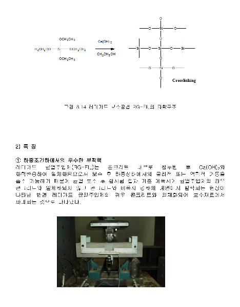 레미가드이미지