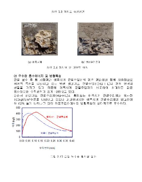 레미가드이미지