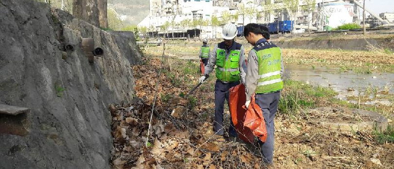 단양공장 하천 청소 사진