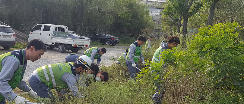 단양공장 생태계 보존 활동 사진