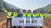 단양·삼곡공장, 지역 농가 마늘 수확 봉사활동
